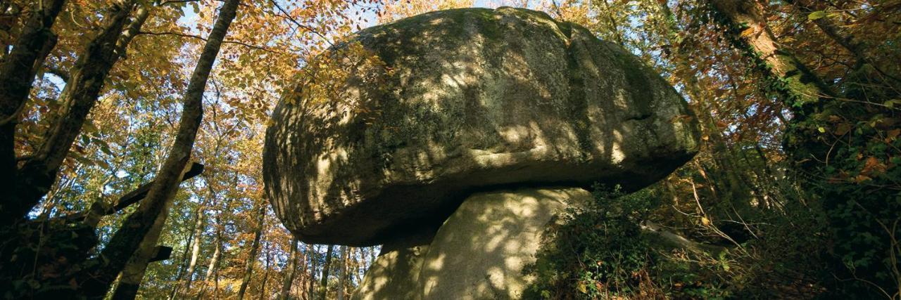 Chambre D'Hotes De La Roche Tremblante Huelgoat Zewnętrze zdjęcie